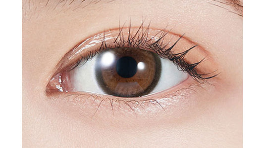 【預購】MOLAK Brown Bunny 1 Day 十片裝