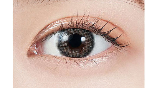 【預購】MOLAK Mirror Gray 1 Day 十片裝