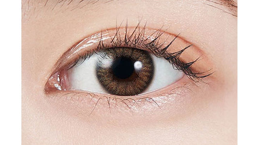 【預購】MOLAK Coral Brown 1-Month 兩片裝