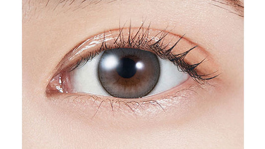 【預購】MOLAK Dollish Gray 1-Month 兩片裝