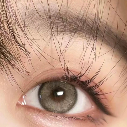 Ginomii Hanna Brown 帕尼尼