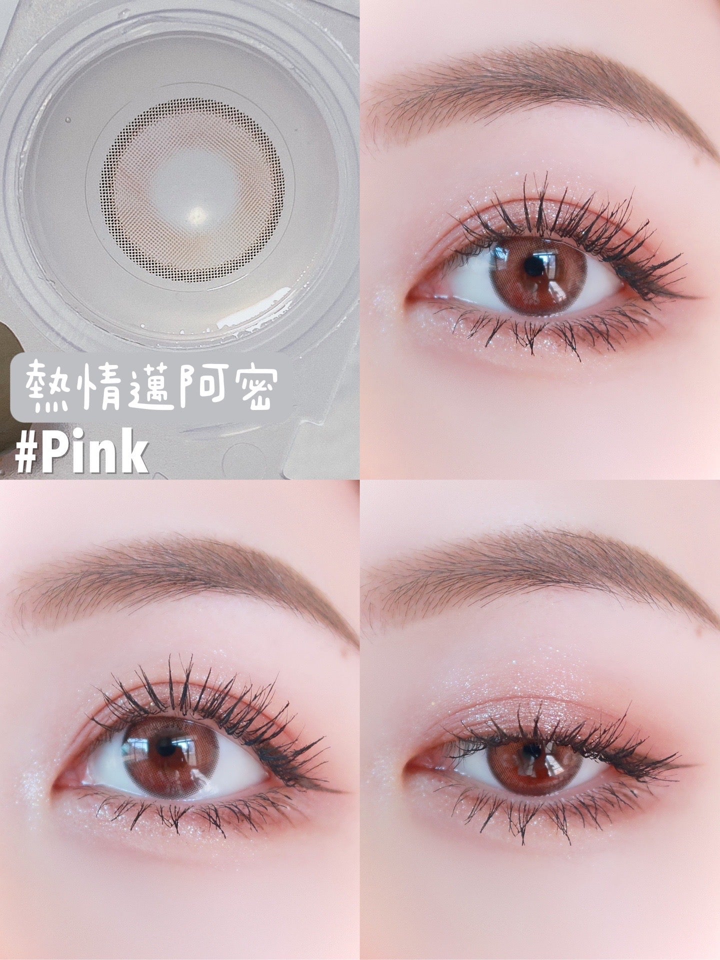 Medios Lightly Mellow 熱情邁阿密 1 Day