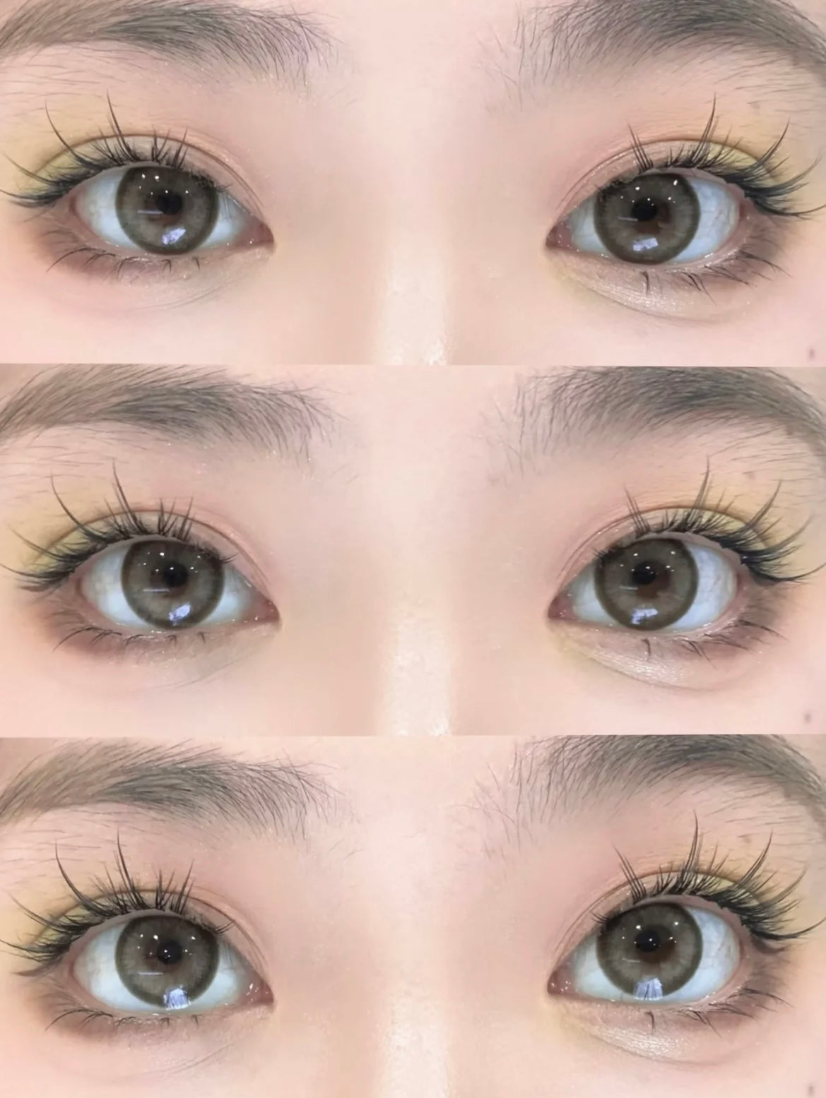 Ginomii Maya 綿羊酵母