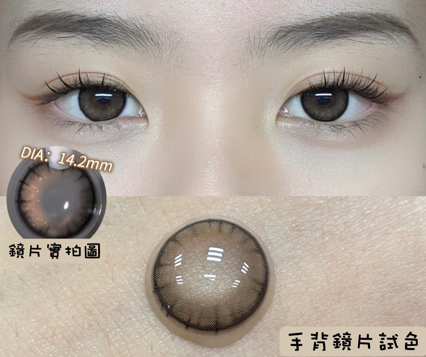 Sugarplum Crispy Brown 松鼠脆脆