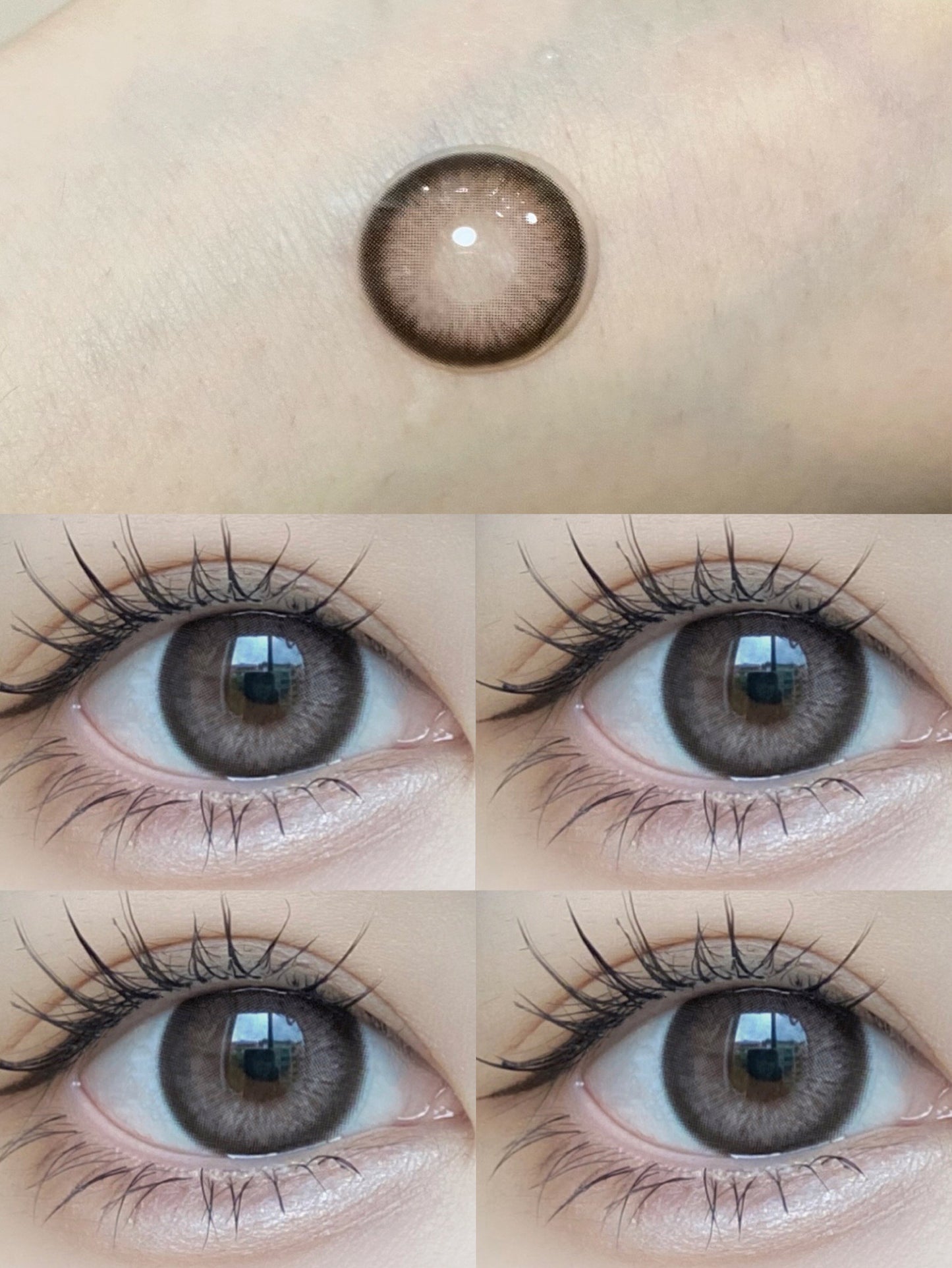 Allecon Y21 Brown 琥珀虹光