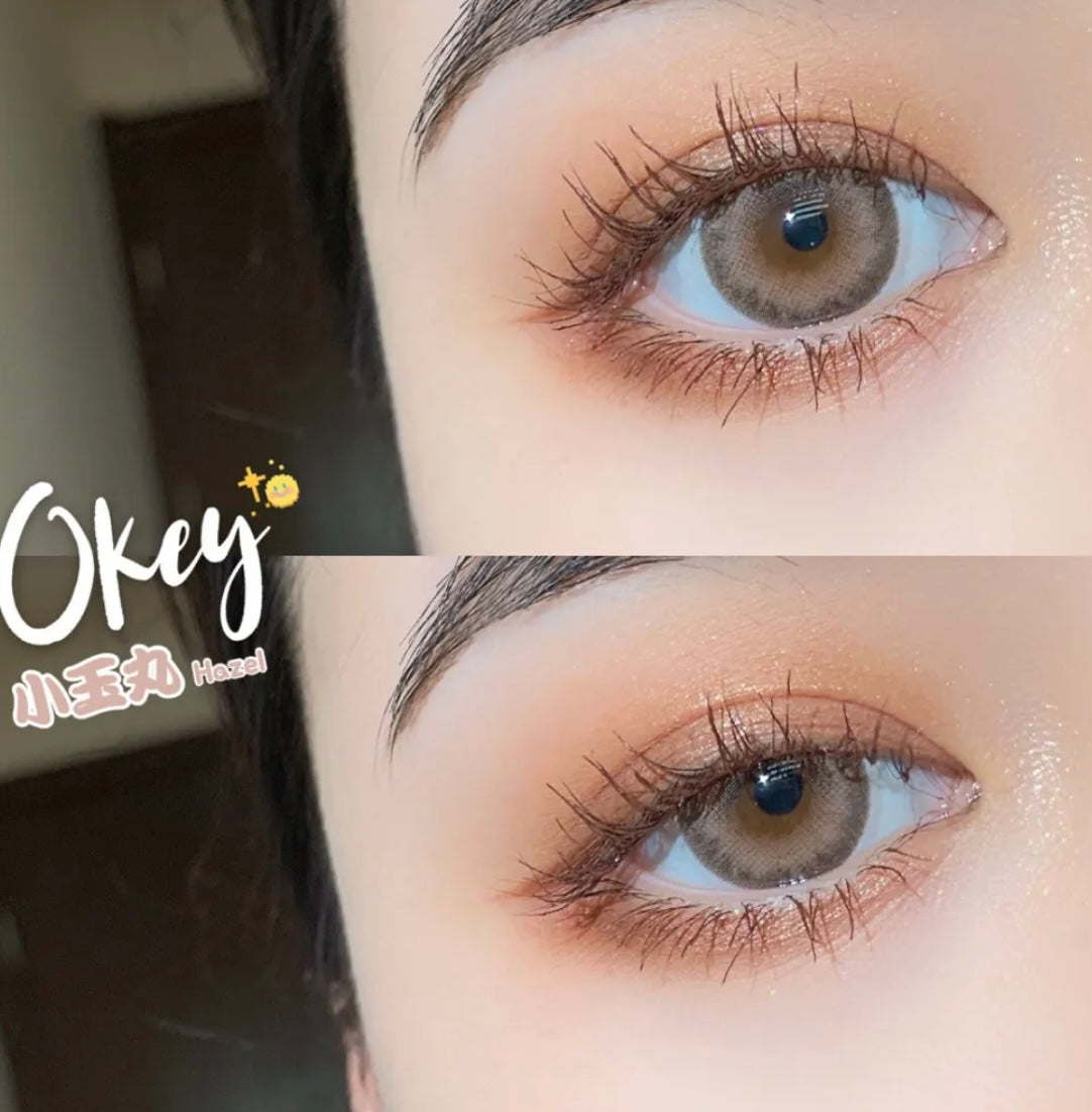 Bollycon Okey Hazel 小玉丸 1 Day