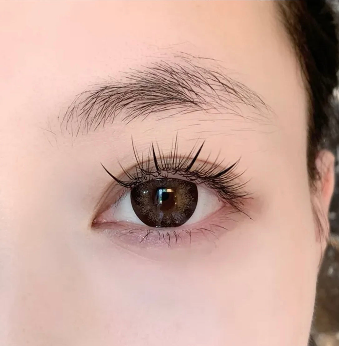 Kumicon Coffee Brown 反派甜心