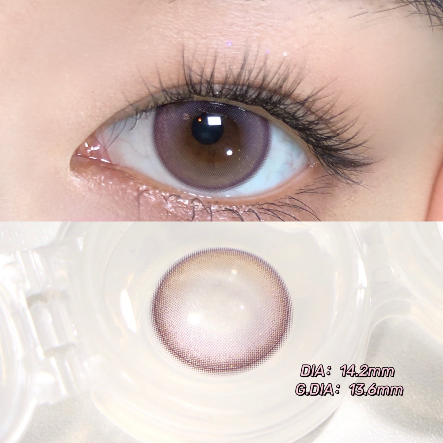 Litchicream Rose Violet 霧玫瑰