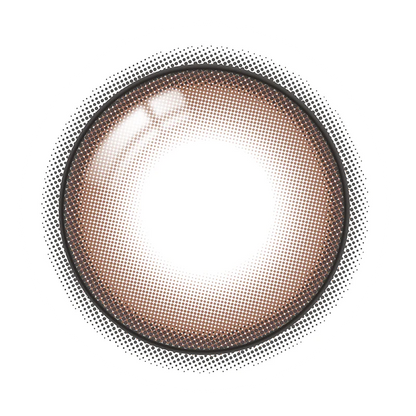 【預購】Refrear X A-eye Refined Brown 1 Day 十片裝