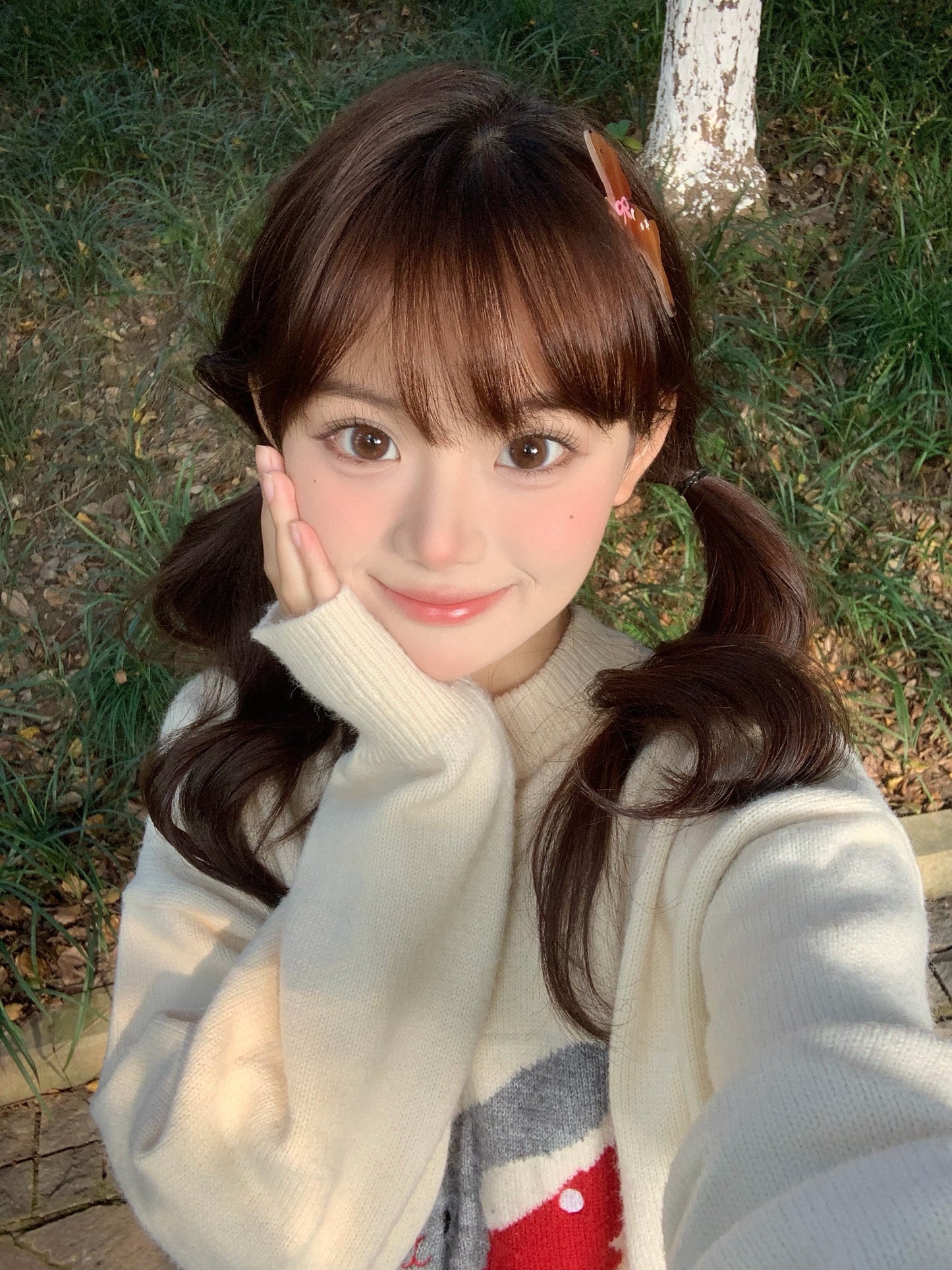 FullyGift BL. Brown 桃心回甘 6-Months 一片裝