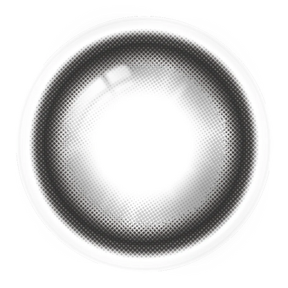 【預購】Refrear X A-eye Magnetic Gray 1 Day 十片裝