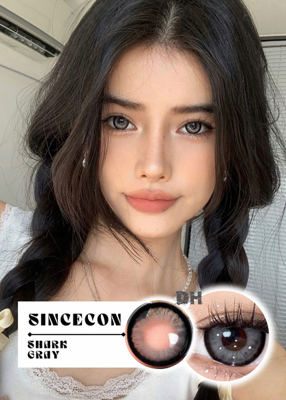 Sincecon Shark Gray 虎紋鯊 1 Day 十片裝