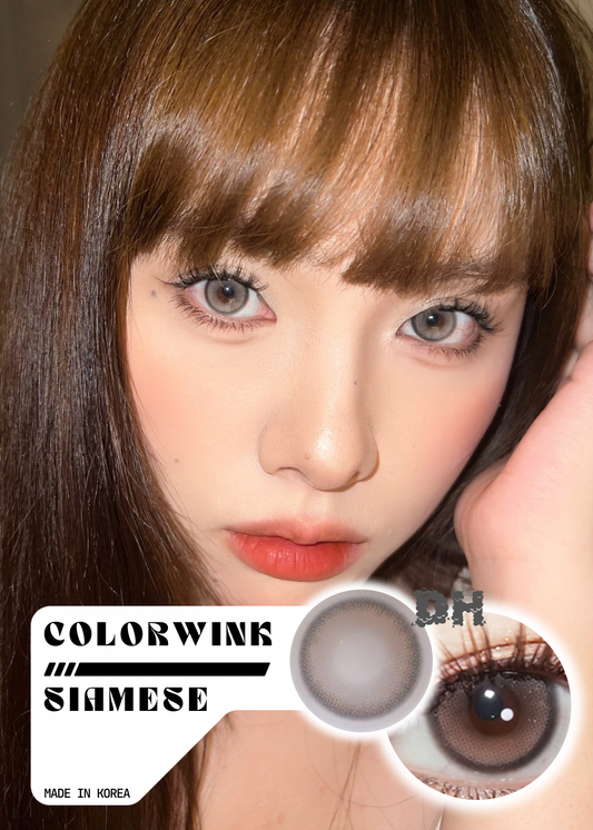 Colorwink Siamese 暹羅