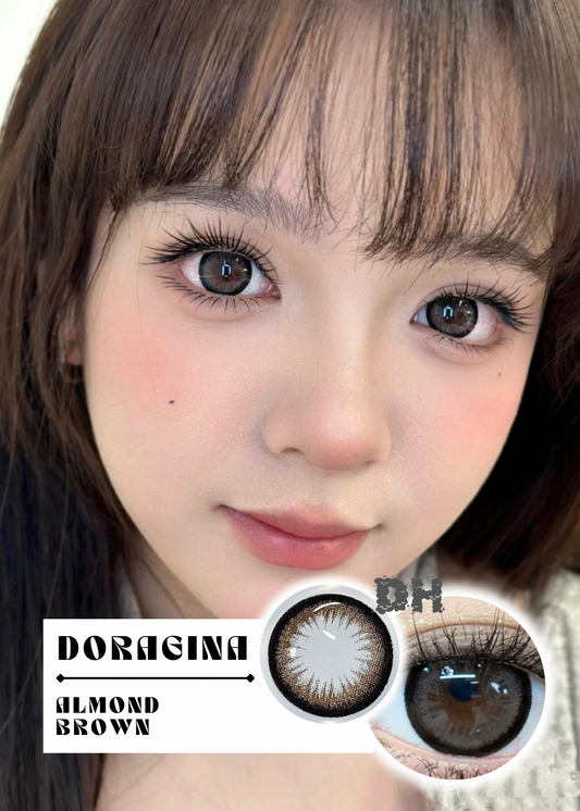 Doragina Almond Brown 可可杏仁 (1 Year / 1 Day)