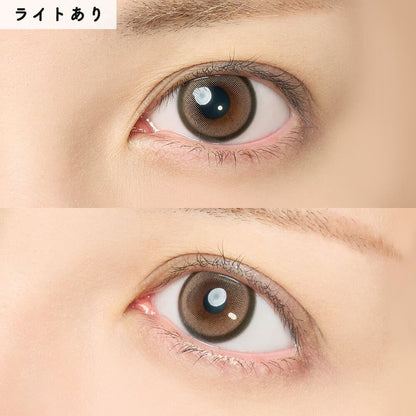 【預購】HONEY KISS Chulun Chocolate Gray 1 Day 十片裝
