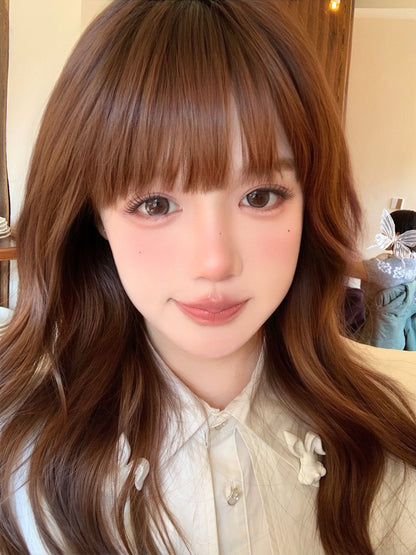 Gugucon Halo Brown 再遇微風 6-Months 一片裝