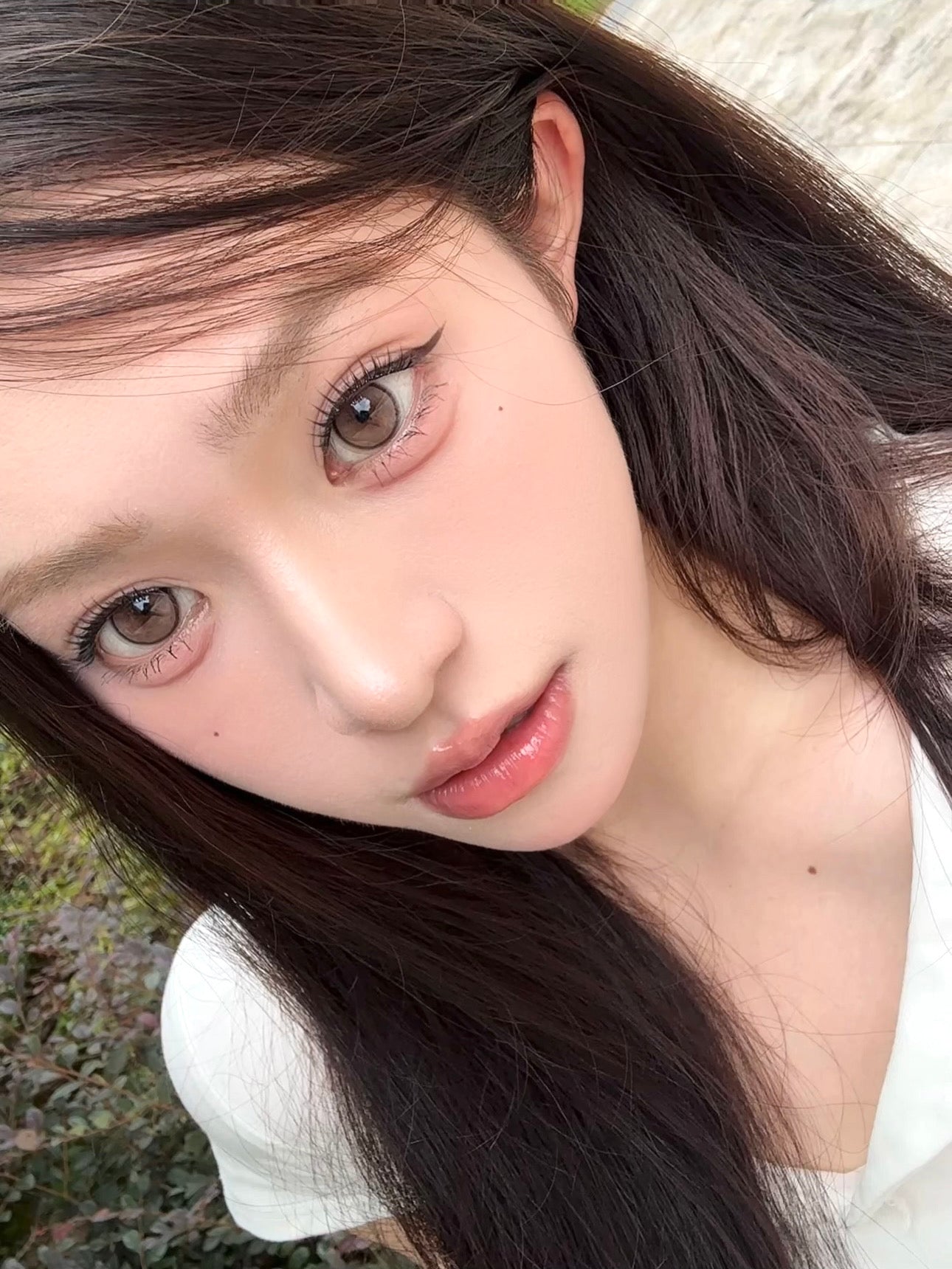 Doragina Roco Hazel 木桃霧 1 Day 十片裝