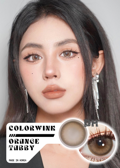 Colorwink Orange Tabby 大橘