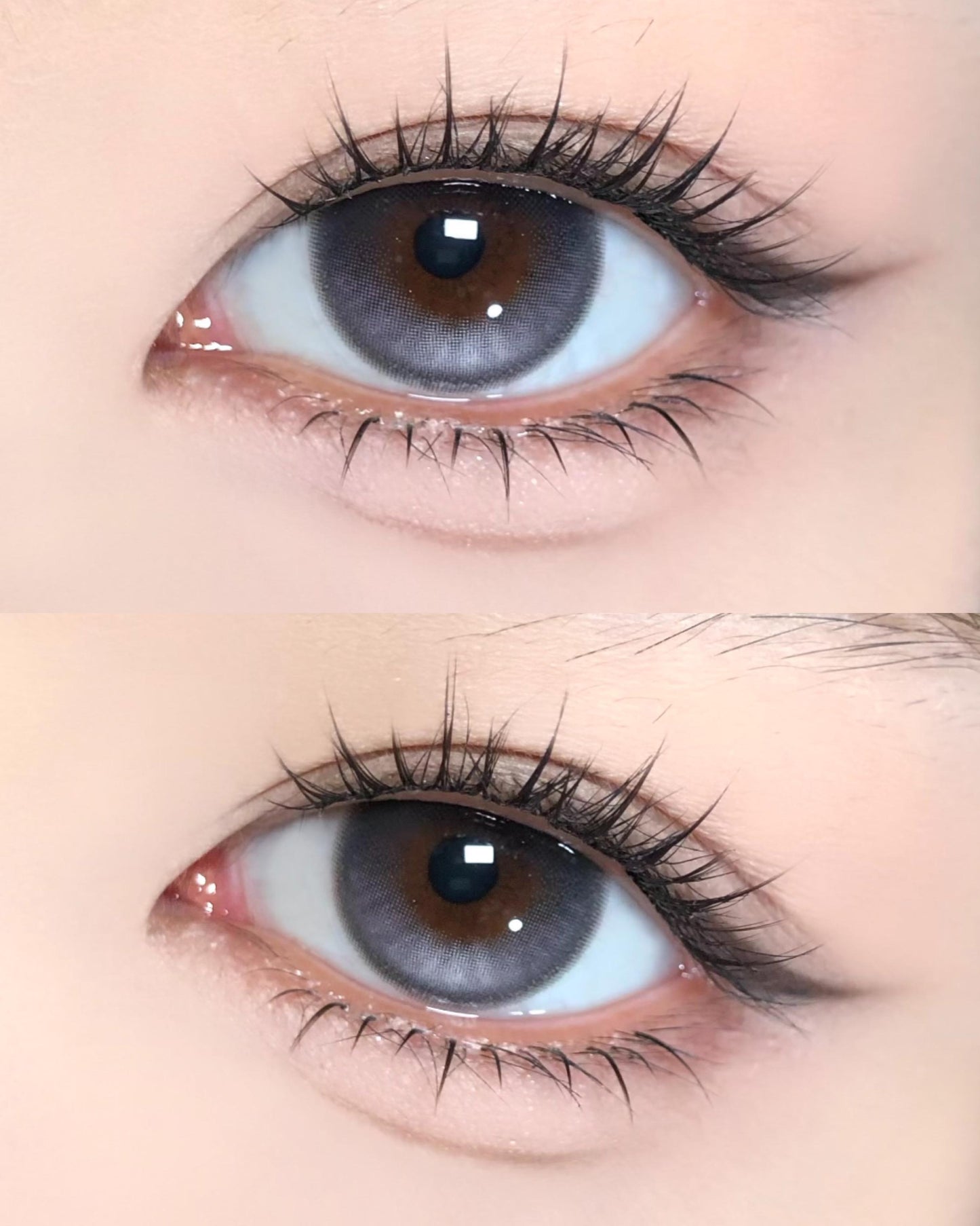 【固定高光】CoFancy Silver Bagel 銀河貝果 1 Day 十片裝