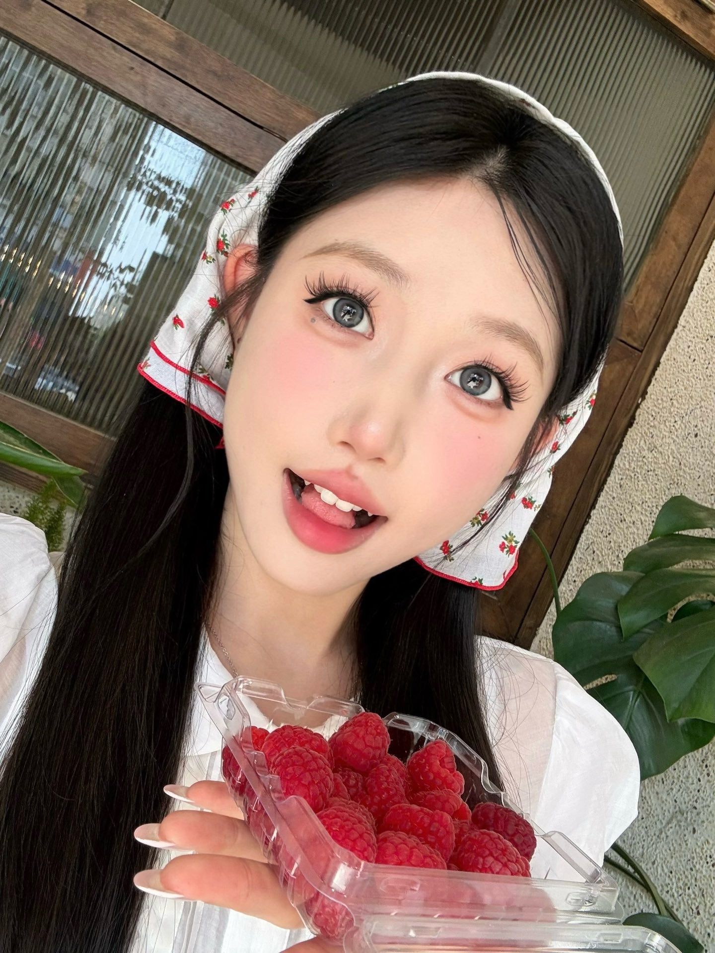Puffgirl Kitten Blue 布偶甜心 (6-Months 一片裝 / 1 Day 十片裝)