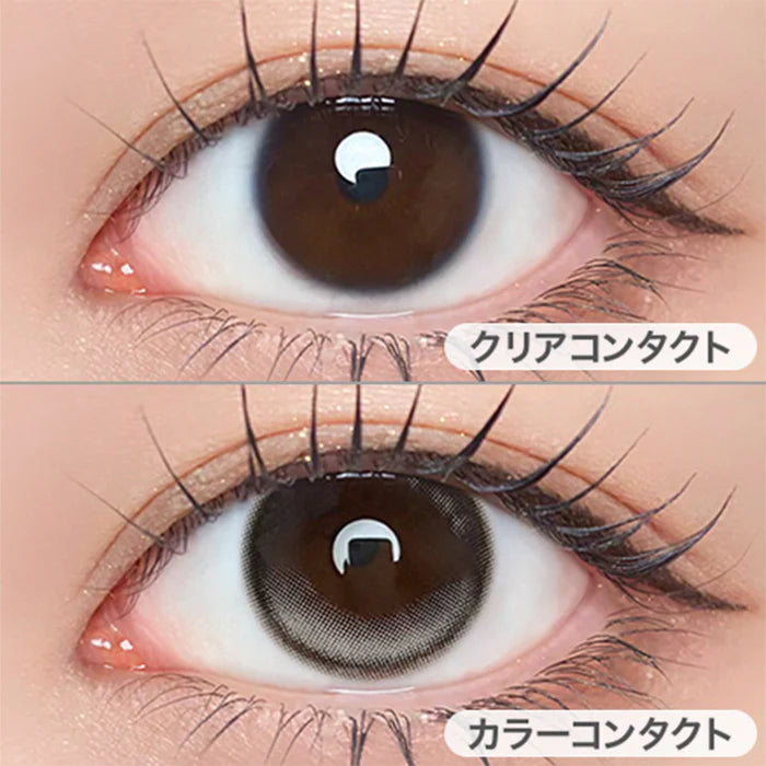 【預購】Refrear Unrolla Lunan Gray 1 Day 十片裝