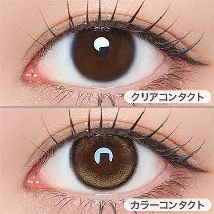 【預購】Refrear Unrolla Lunan Beige 1 Day 十片裝
