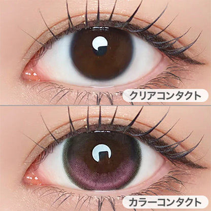 【預購】Refrear Unrolla Lunan Pink 1 Day 十片裝