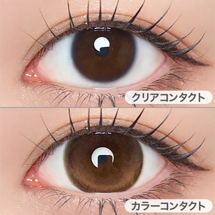 【預購】Refrear Unrolla Lunan Brown 1 Day 十片裝