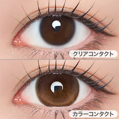 【預購】Refrear Unrolla Lunan Brown 1 Day 十片裝