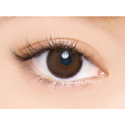【預購】Angelcolor BAMBI SERIES Pure Brown 1 Day 十片裝