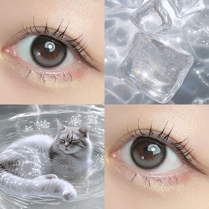 【預購】Dewlit Gray Dew 1 Day 十片裝