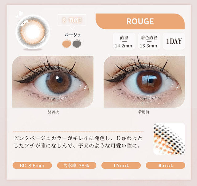 【預購】FOMOMY Shining Series Rouge 1 Day 十片裝