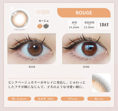 【預購】FOMOMY Shining Series Rouge 1 Day 十片裝