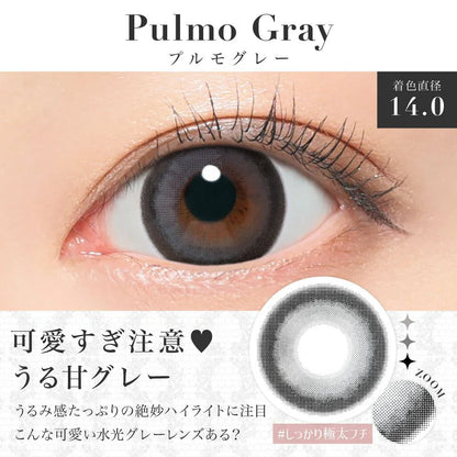 【預購】SECRET CANDY MAGIC Pulmo Gray 1 Day 二十片裝