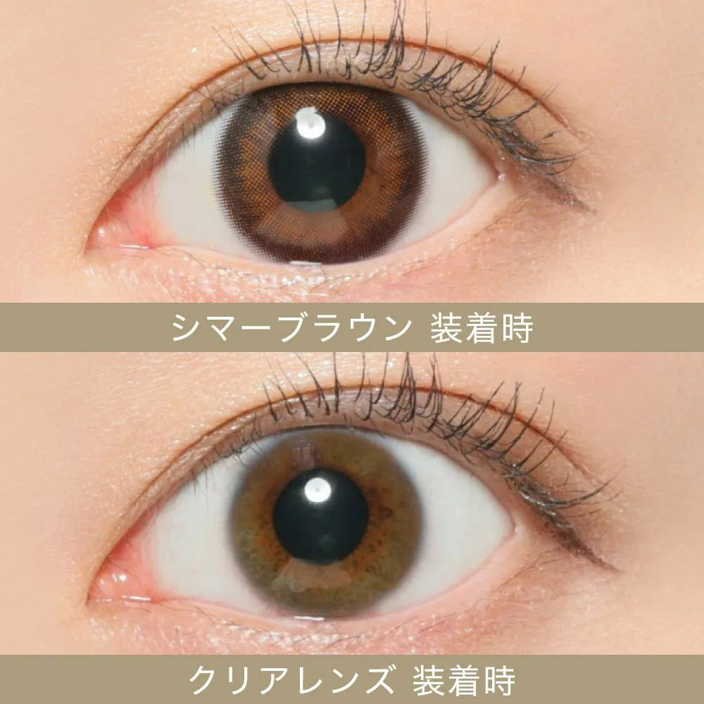 【預購】SECRET CANDY MAGIC Shimmer Brown 1 Day 二十片裝