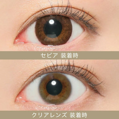 【預購】SECRET CANDY MAGIC Sepia 1 Day 二十片裝
