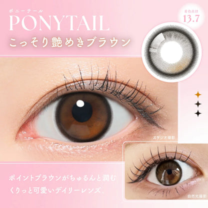 【預購】SIE Ponytail 1 Day 十片裝