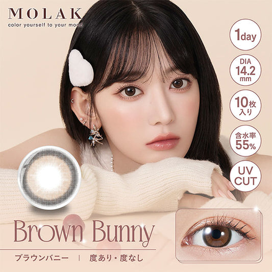 【預購】MOLAK Brown Bunny 1 Day 十片裝