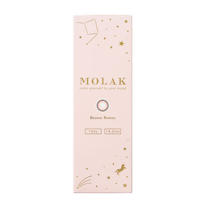 【預購】MOLAK Brown Bunny 1 Day 十片裝