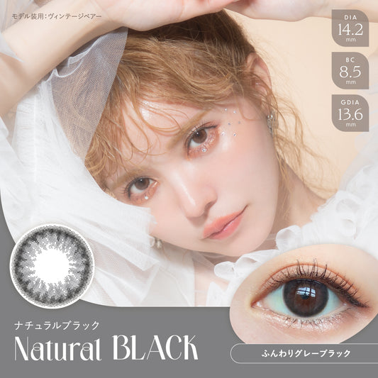 【預購】Angelcolor BAMBI SERIES Natural Black 1 Day 十片裝