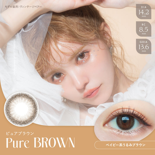 【預購】Angelcolor BAMBI SERIES Pure Brown 1 Day 十片裝