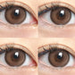 KiraSecret Deer Brown 紅奶酪