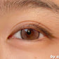 Sugarplum Thaijelly Brown 泰茶凍