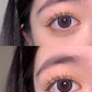 ClaireColor Tears Brown 水光狗狗眼灰