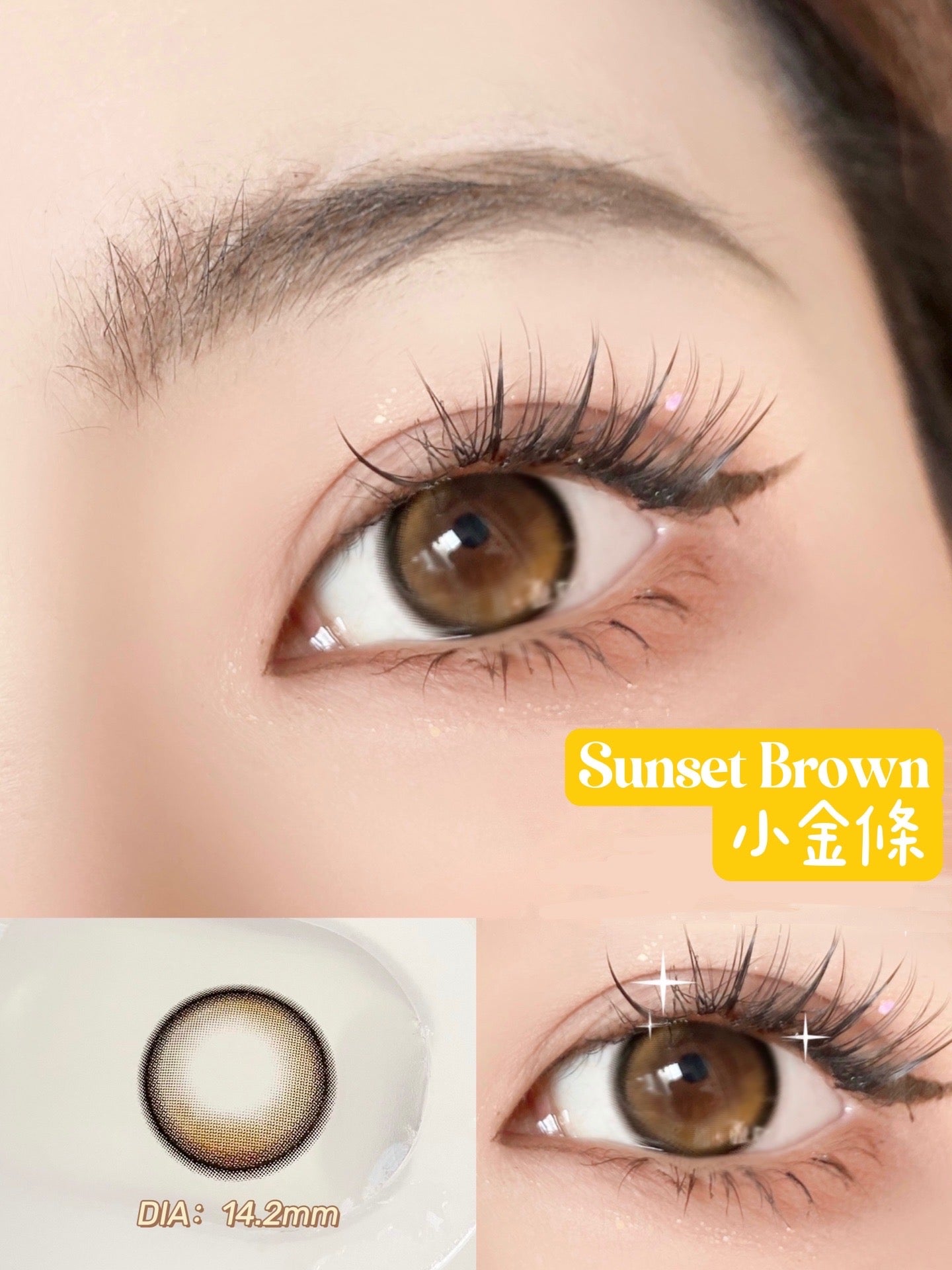 KiraSecret Sunset Brown 小金條 1 Day