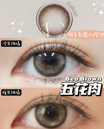 Bollycon Bea Brown 五花肉 1 Day