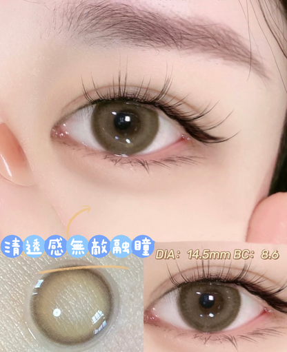 Sugarplum Chestnut Brown 奶香栗