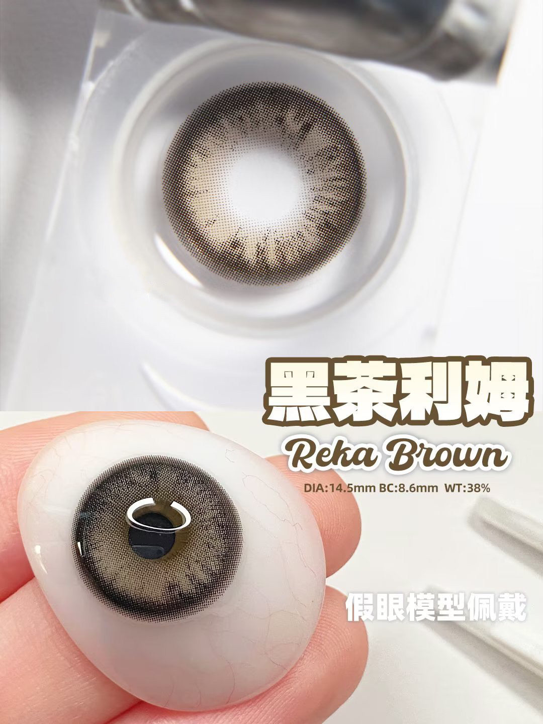 Ginomii Reka Brown 黑茶利姆